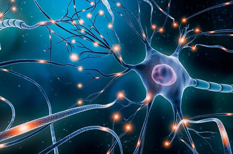 Neuron Graphic!